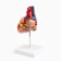 Matcage "Heart" isolate 13*8cm