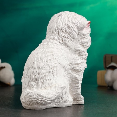 Piggy bank "Small kitten" White, 16x12cm-3
