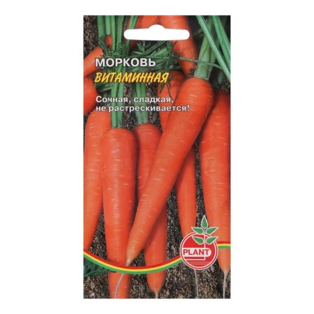 Carrots "Vitamin", 800 pcs.