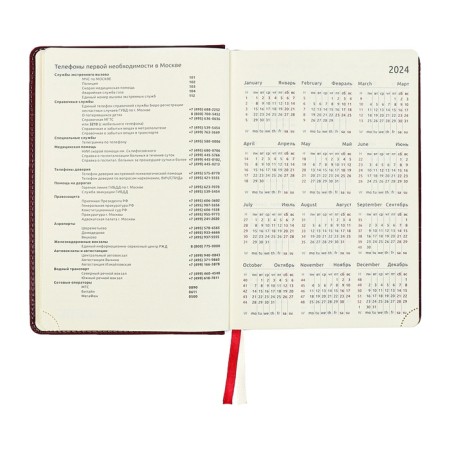 Dated diary 2024 A5 176 sheets, Devente.wild, Firmly covered with artificial leather, gold cut, lies, cream block 70 g/m2, burgundy block-8