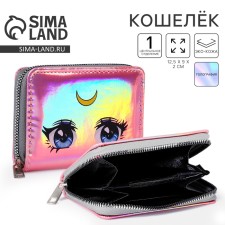Wallet with a holographic effect 