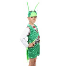 Kuznechik carnival costume, 3-5 years old, height 104-116 cm