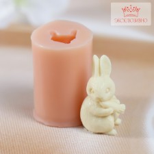 Silicone Mold 