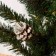Fir -tree artificial desktop "classic snow -white" bump silver 60 cm