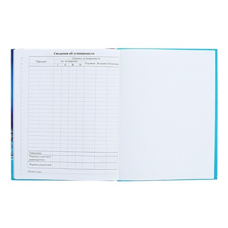 Universal diary for grades 1-11 Northern Lights, hard cover, holography, 40 sheets-8