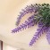 Bouquet "Pyramidal grass" with spraying, 18 cm, mix