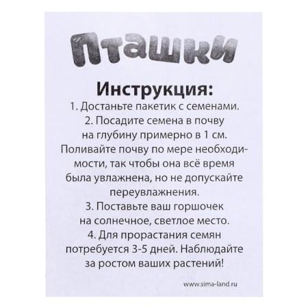 Set for experiments "Ptashki, grow grass", purple pot-3
