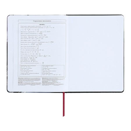 Diary 1-11 Grade "Magnolia", artificial leather, with lisasa, 48 sheets-12