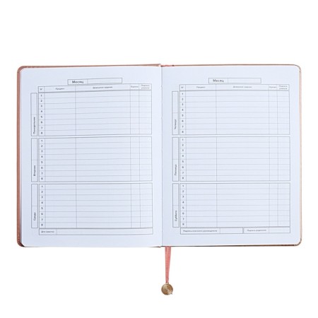 Universal Grade 1-11 Diary, 48 sheets "Pattern", solid cover of artificial leather, foil embossing, liesse, universal cheat sheet, block 80 g/m2-7