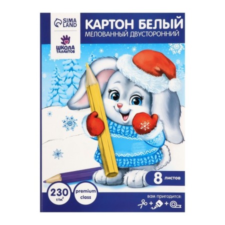 White cardboard A4, 8 sheets are bilateral, coated, block 230 g/m2, Extra is white-6