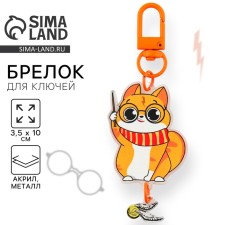 Брелок для ключей детский "Волшебный котик", 3,5 х 10 см