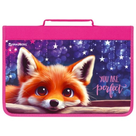 Brauberg A4 Lightning folder with a pen, with an organizer, 1 department, "Cute Fox", 272217