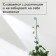 Pegs for garter plants, h = 60 cm, d = 0.3 cm, wire, green, greengo