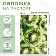 Cover for passport, green color