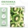 Cover for passport, green color
