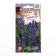 Lavender seeds are narrow -leaved, Voznesenskaya 34, 0.05 g