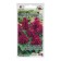 Salvia flowers "Sisler Burgundy", 10 pcs