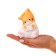 Clothes "Fat Cat", Mix color