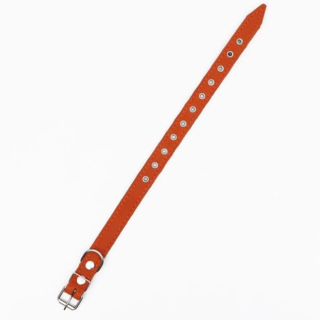 Collar combined leather/tarpaulin, dimensionless, 54 x 2.5 cm, Osh 17-45 cm, red-2
