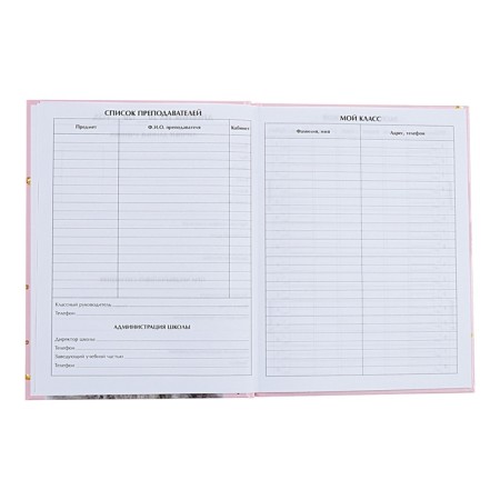 Universal diary for grades 1-11, Kisa, solid cover 7BC, glossy lamination, 40 sheets-5