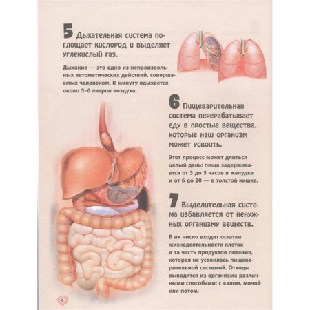 Тело человека, Мириам Бакеро, Нико Домингес-2