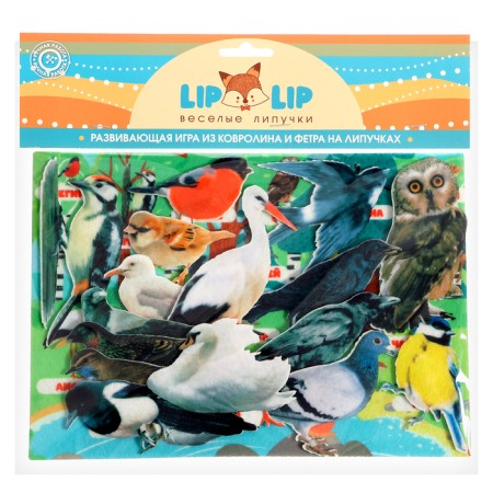 Game - designer "Studying birds" 16 details