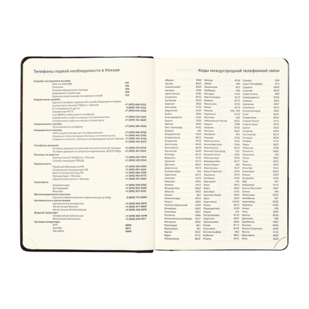 The diary is low, a solid cover of leatherette with foam rubber, thermo embossing, perforation, lies, cream block 70 g/m2, brown-7