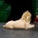 Figure "Leo African No. 2" ivory, 34x14x19cm