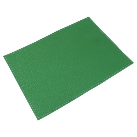 Cover for passport, green color