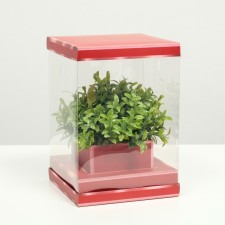 Box for flowers with a vase and PVC windows are folding, red, 16 x 23 x 16 cm