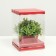 Box for flowers with a vase and PVC windows are folding, red, 16 x 23 x 16 cm