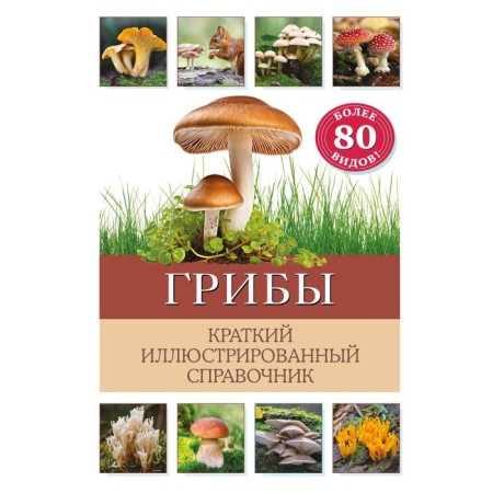 Mushrooms. Brief illustrated reference book. OFTRING B.