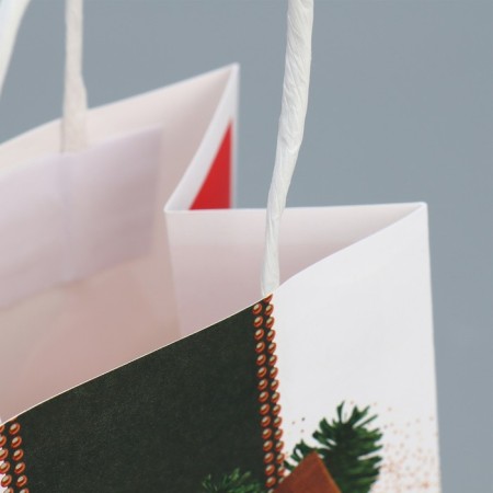 Package gift craft "Miracles", 12 x 21 x 9 cm, New Year-4
