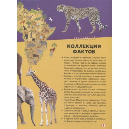 My first big book about animals-6