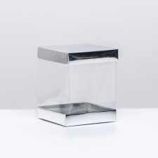 Box with PVC mini 10 x 10 x 12 cm 