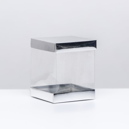Box with PVC mini 10 x 10 x 12 cm "silver"
