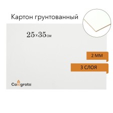 Cardboard primed 25 x 35 cm, thickness 2 mm, 3-layer acrylic soil, calligrata
