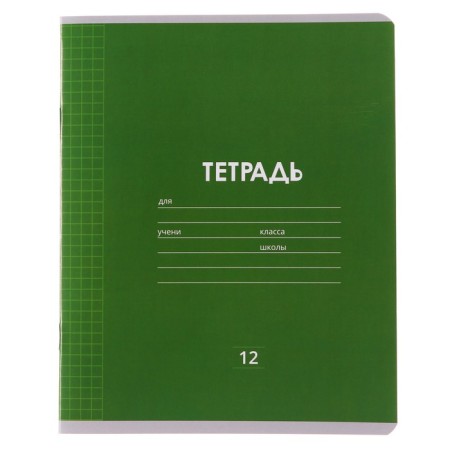 Notebook 12 sheets in Calligrata Calligrata "Plain Classic Linovka", cover Caped Paper, VD-LK, OFSET BOLK, Belility 95%, MIX-5