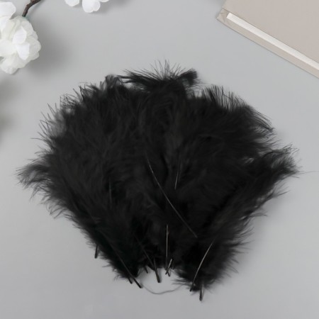 Pen decorative goose down "Black" set 40 pcs h = 10-15 cm