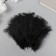 Pen decorative goose down "Black" set 40 pcs h = 10-15 cm