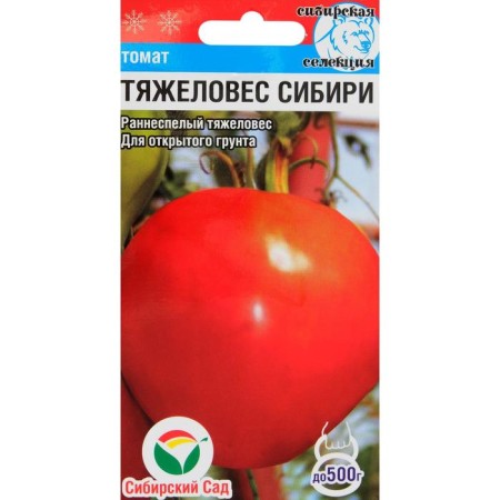 Siberian Siberia Tomata Seeds, Early Nespeli, 20 pcs