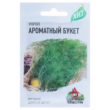 Seeds of dill 