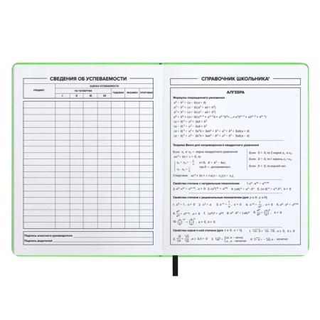 School diary for grades 1-11, solid cover, artificial leather, Soft-tach, silk-screen printing, keychain, lies, 48 ​​sheets, universal cheat sheet, block 80g/m2, neono-salad-8