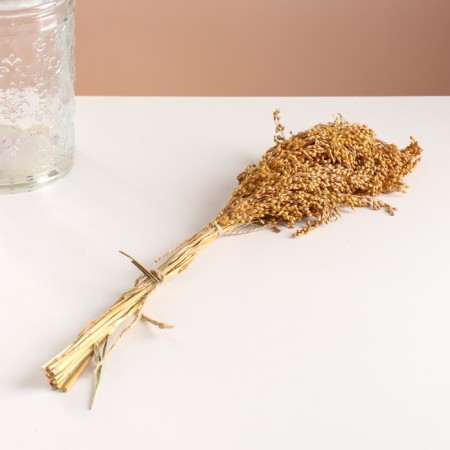 Set of dried flowers "millet", banch length 45 (+/- 6 cm), natural-3