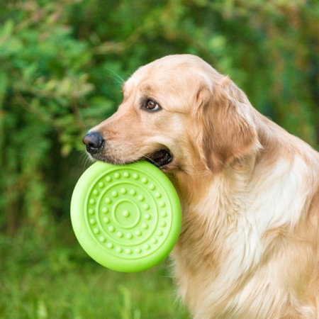 Frisby "UFO", 18.6 cm, hard thermoplastic rubber, green-7