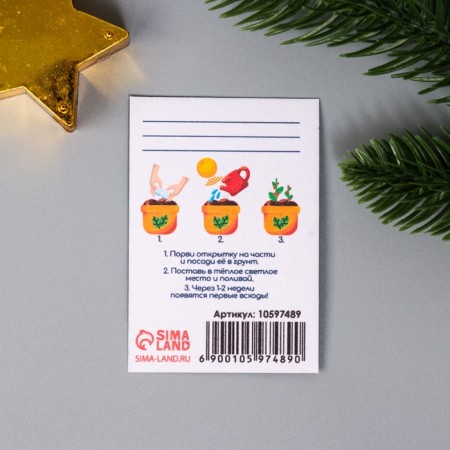 A set of postcards with seeds "grow itself" "Happy New Year!" 5*7cm-4
