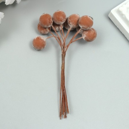 Decor for creativity "Berry of Rowan" 1 bouquet = 10 berries brown yoke 10x1.5 cm-2