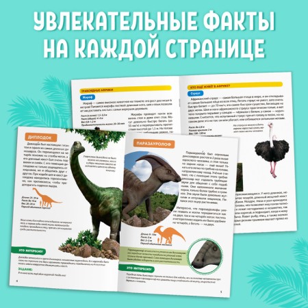Mini-encyclopedias set of animals, 6 pcs. 20 p.-3
