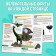 Mini-encyclopedias set of animals, 6 pcs. 20 p.