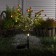 Garden lamp on the sunny battery "Flower bush", 66 cm, 28 LED, glow warm white
